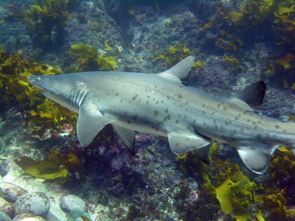 f93d406e-df10-4fc8-bdf4-5248354821b3