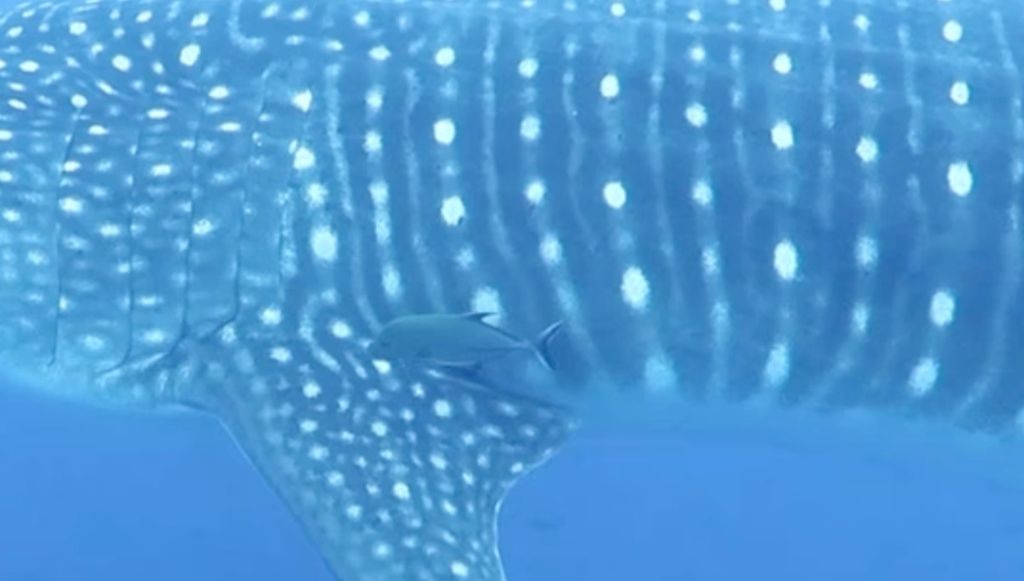 4fb6a8c0-c771-43fc-8e3a-e3f18a009790