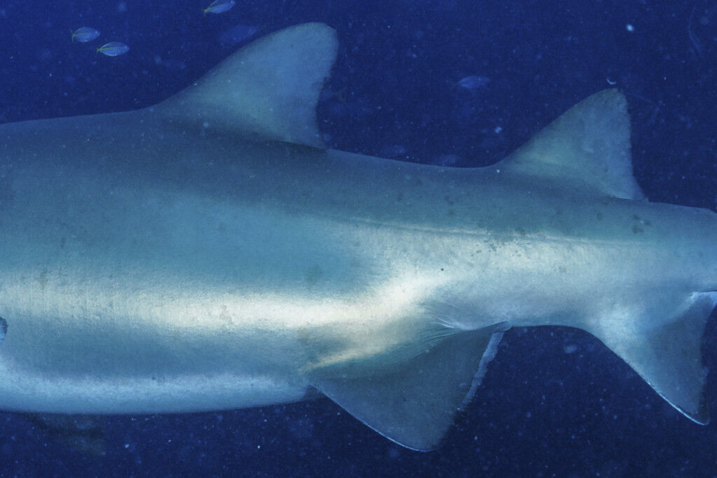 ae790ec9-51d8-4887-9cdb-b15e82bea0c4