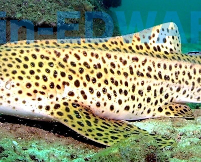 e657d865-1e0e-45d8-a146-8f20b54b7d5b