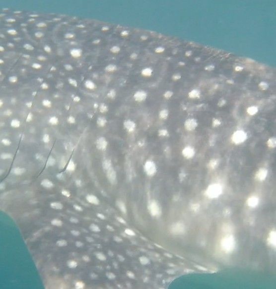 5193b3b8-4ea9-40a6-a4cf-cf2796a41e45