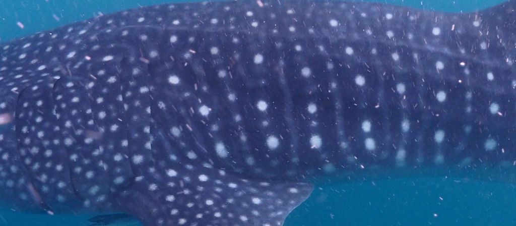 36b124b4-f7b4-48a3-92bf-b75b203ba185