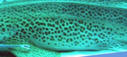 434383fa-9a30-4da9-9077-b037797157a2