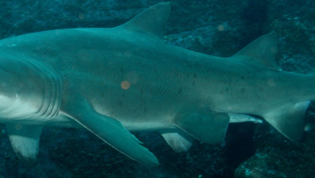 dfaf6287-fe23-4c59-be10-948d3a9c0237