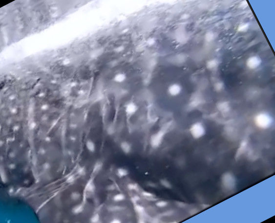 531029fb-7bc9-45e6-8d77-0abfda58eb8e