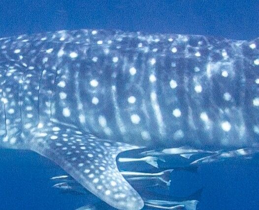 059c88d4-56d4-404e-a2eb-90083cbfa220