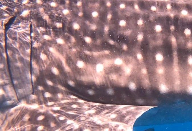 86cddad4-3254-423e-b317-149ec7aea6d5