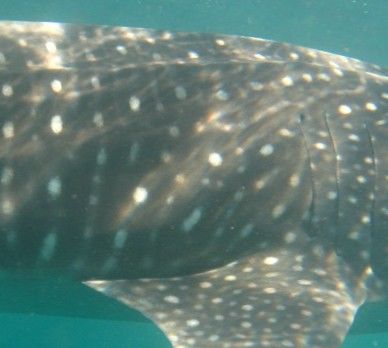 bcb5b64a-5d4a-4549-91c3-8789f6f2ca51