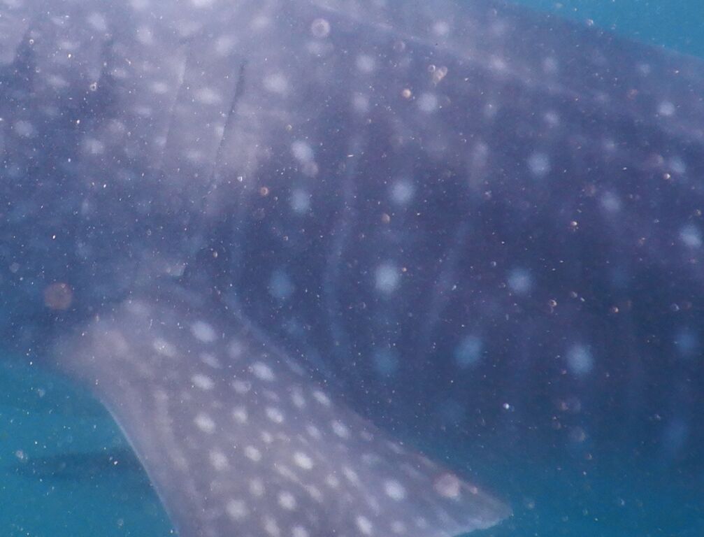 2c756e19-834e-4892-b86e-94442097dae4