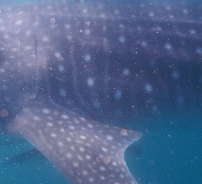 2c756e19-834e-4892-b86e-94442097dae4