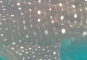 b603a640-2ed5-40e1-a90e-682379ea24a9