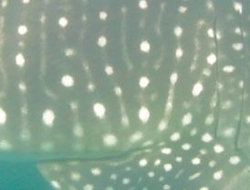 b603a640-2ed5-40e1-a90e-682379ea24a9