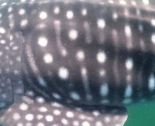 9b044b80-61c9-435f-a8a5-26ee35ef5665