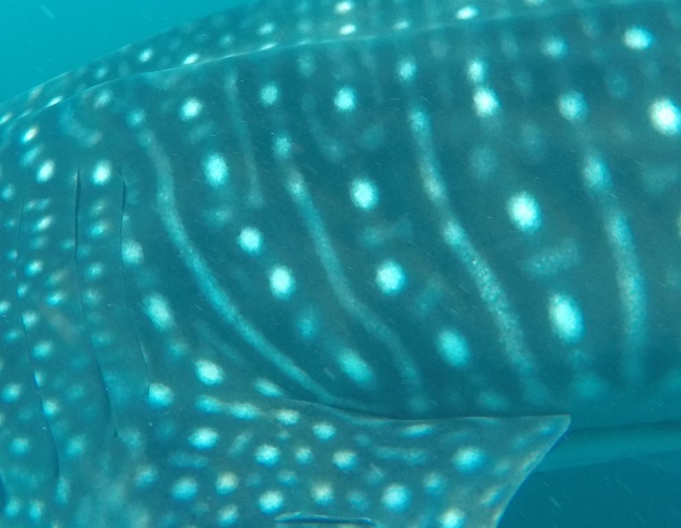 f727d270-26de-4343-bb2e-1c0015b27456