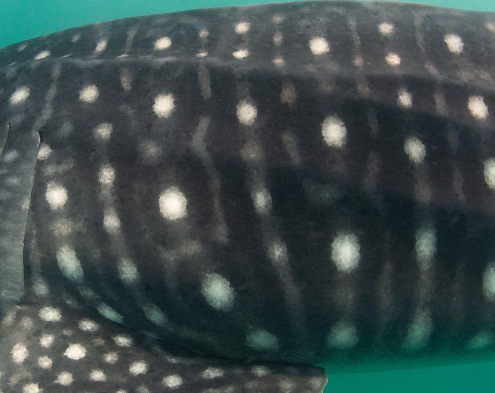 efe83984-3f6d-4c55-b354-2553e35824a4