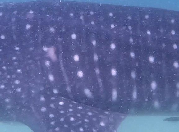 7f30ebd2-b887-4b92-93f7-3b0fa1dc52cc