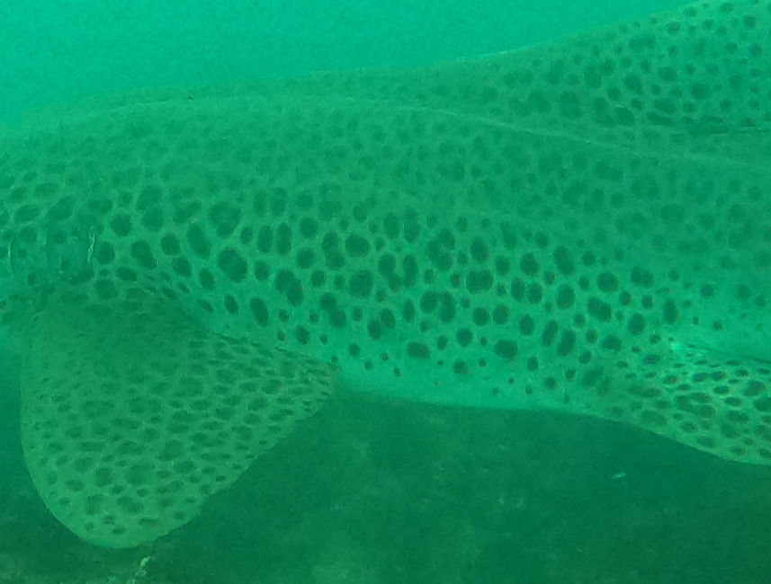 896fa302-dd60-4a22-b5e1-546efd7307f0