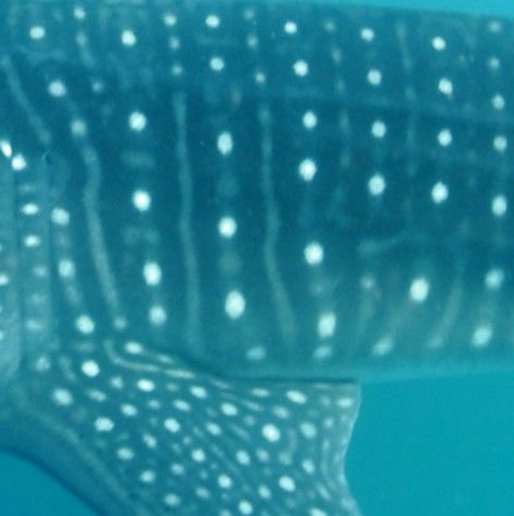 5136bb25-8c0d-4c11-8ecd-71934a606d68