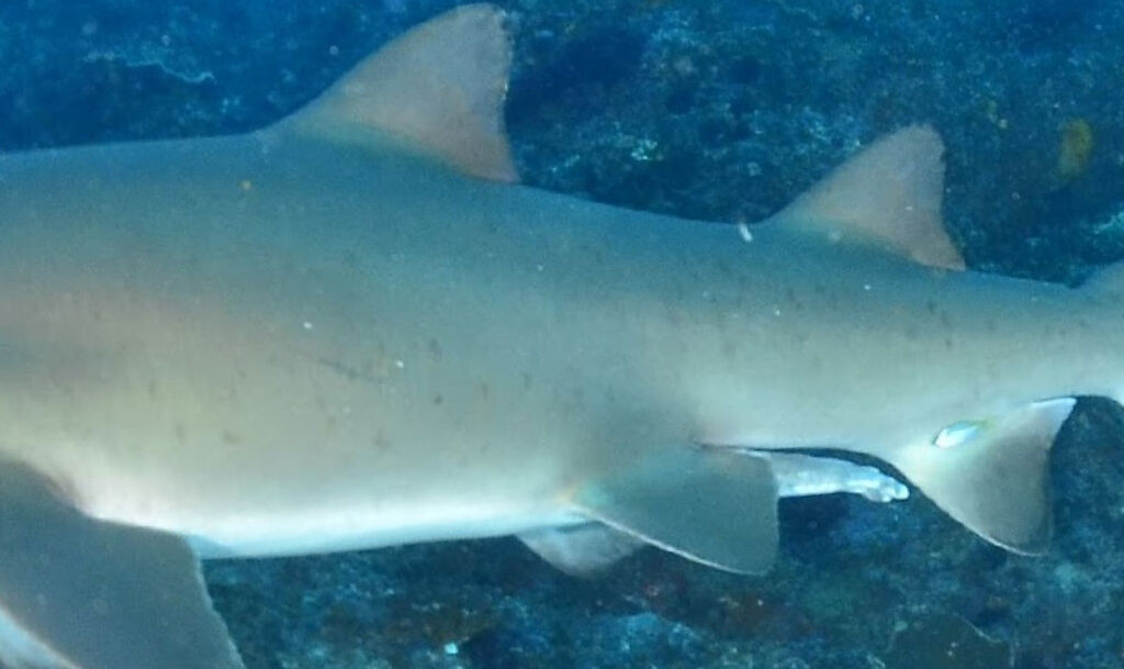 8cc6f721-0e35-458f-b24c-1124da6de703