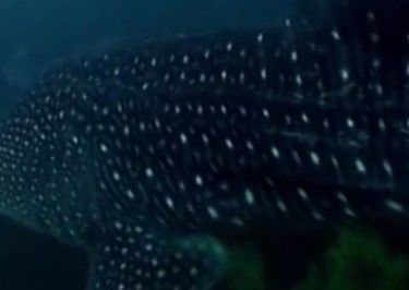 72cea92d-41fa-4e68-a159-8b98e1cf6caf