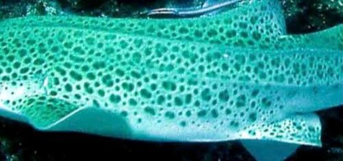 c32c8cdd-a6c7-4d3e-a9ab-0817a4fa2093