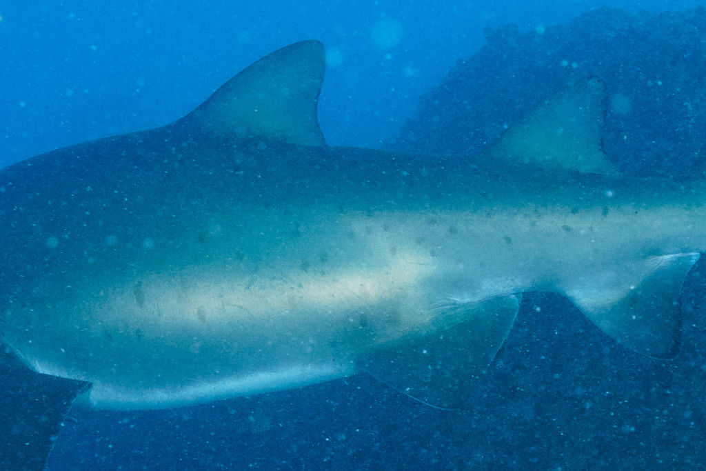 8907a3ba-3b2f-4a05-aabe-733432780c2f