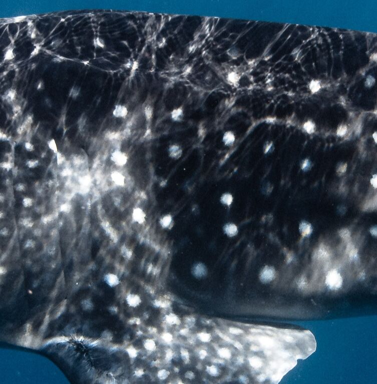 0973216f-56ba-4d97-99f5-bb64f66ddf05