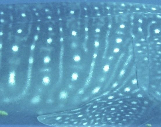 1a73bfe6-4b8c-44a4-a0c1-77f234b1596b