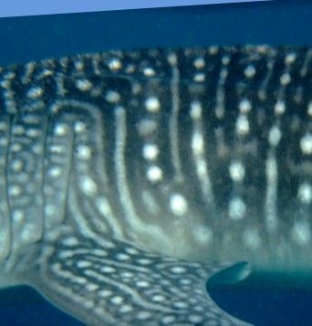 5511f09f-a6bb-4bcc-8acc-fe305288c899