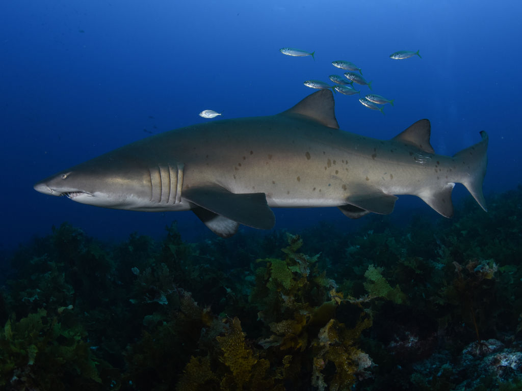 7cbef2a9-1c44-4afb-9da0-9b073060ce2a