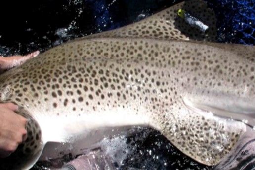 7aa4eaec-5194-452c-85c7-54fc037bbb49