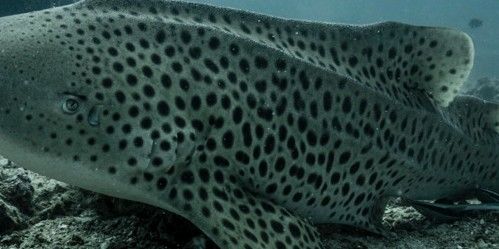 6a43b253-d824-4828-91d1-9ea1a4c5e9ea