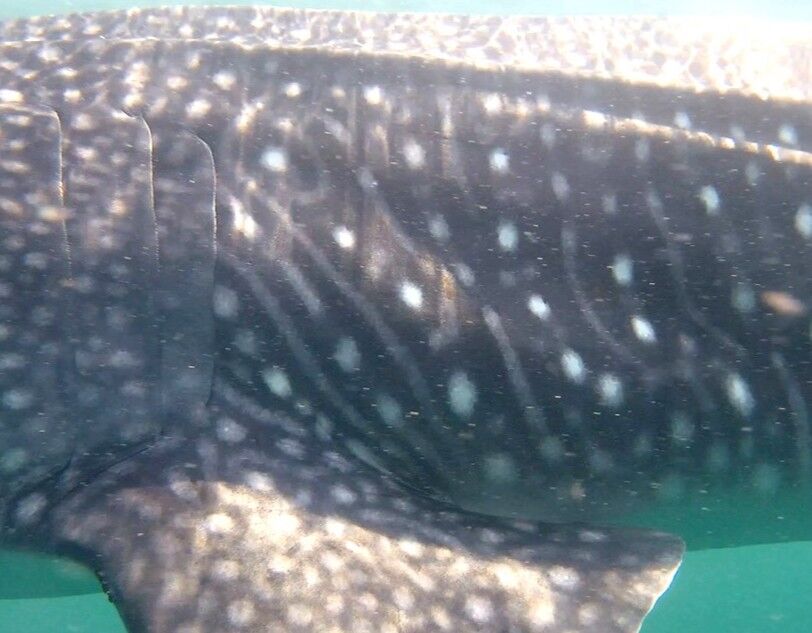 59b9bf22-39d3-4010-b078-45b2bb3ad216