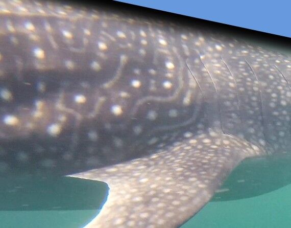 59b9bf22-39d3-4010-b078-45b2bb3ad216