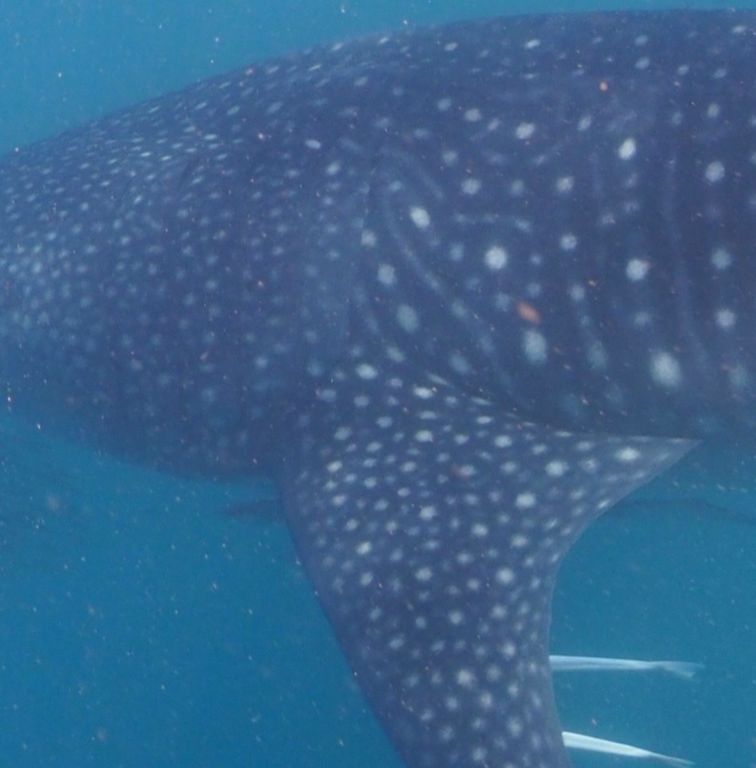 b2f89458-d50c-4d43-a721-28a5912b88a5