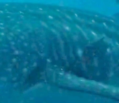 7e212cae-37e4-43be-9957-8528f90846d1