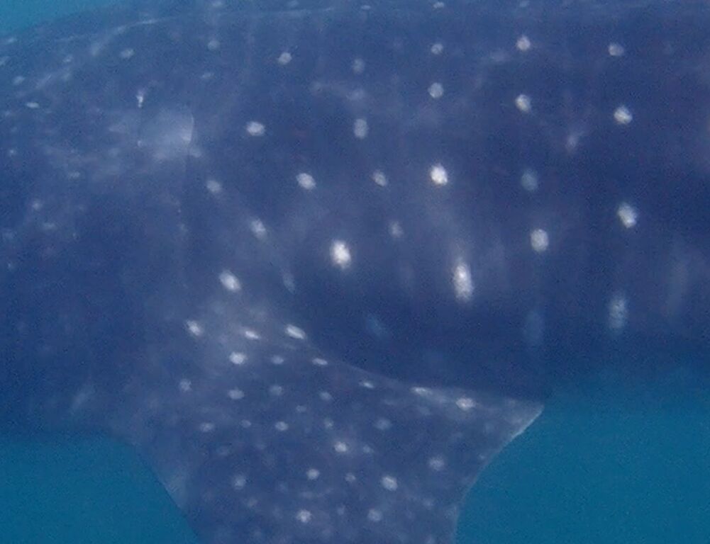 a13c8463-4597-4d5d-a5ed-f7c3ac5ff982