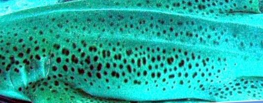 3eac13a7-72dd-4000-ad1e-0737eda0ad3b