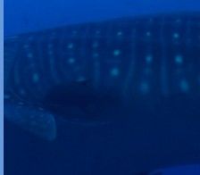 07c48f7e-33c7-4915-8220-c3e1db2679c4