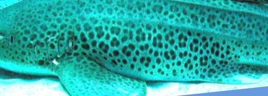 390fdfa4-0884-42f7-8d91-d5f0ded5a047