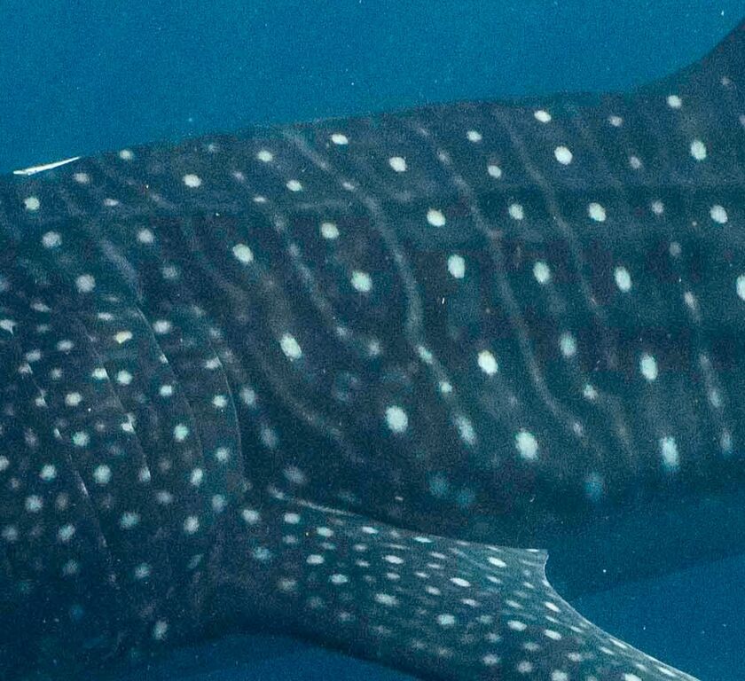 cf760c35-c6cf-4690-a577-3f4c9a14cd70