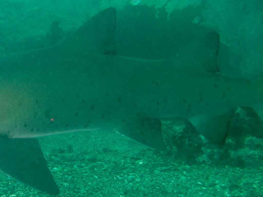 3f1390b4-8e32-4736-8208-68ba1264027f