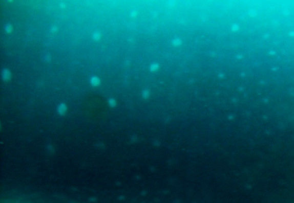 b218d69a-9926-4dbc-88ad-bf90090f3f09