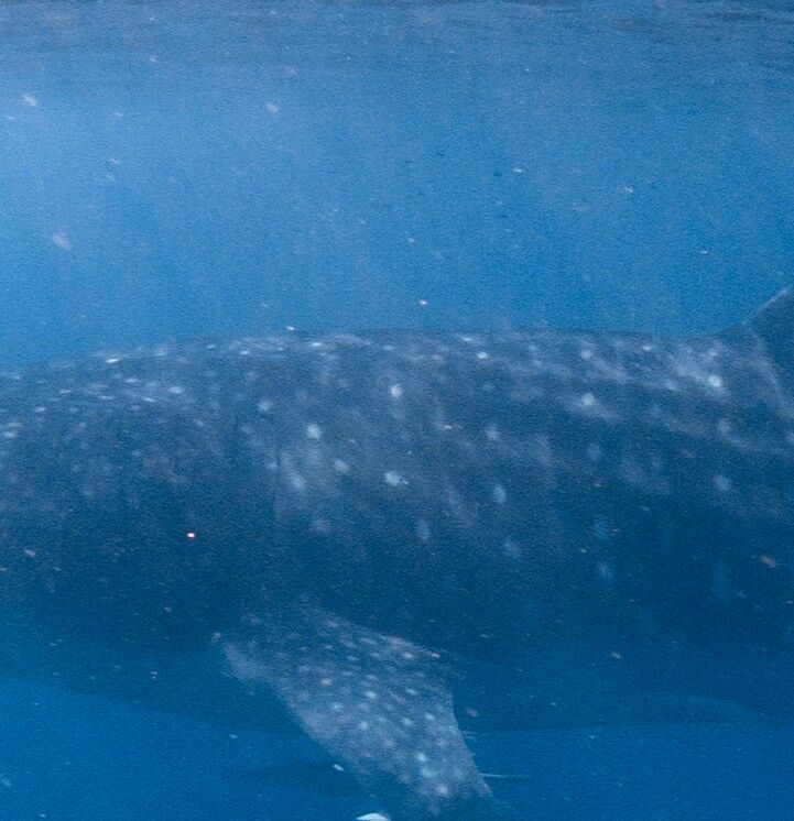 862ef5f0-44be-4dbe-b0c7-8213ca063cae