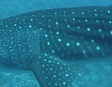 beda4994-7a64-4cb0-b6e1-f93c9bef60d6