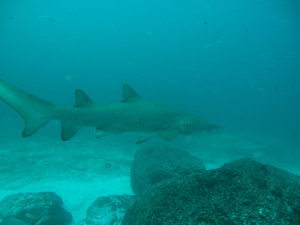 4105542e-1bf6-4333-a34c-fc0497610f96