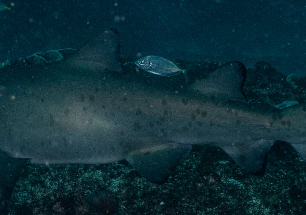 59d9c16f-8642-44ac-bcca-0904622367ed