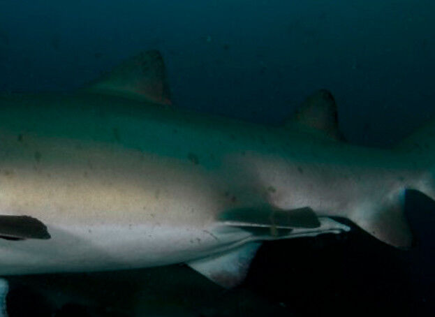 aebf13ee-5e07-4b7e-a37b-9fd630dbf1c7