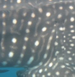 7c664fdb-ca5f-49a3-9071-5c4d48716231