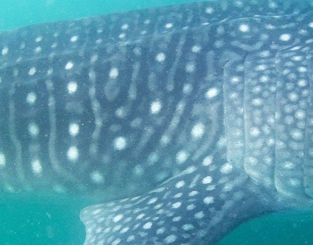 3eaf382e-8429-43ec-94c7-f279c5a73de4